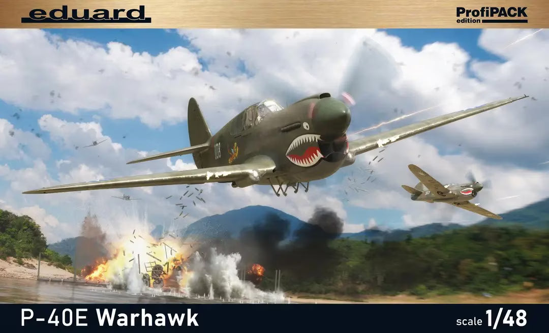 Eduard 1/48 ProfiPACK P-40E Warhawk (82241)