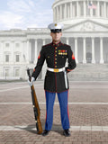 ICM 1/16 World's Guards US Marines Sergeant (16005)