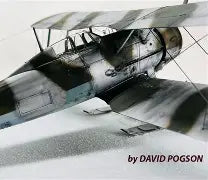 ICM 1/32  J-8 Gladiator (32044)