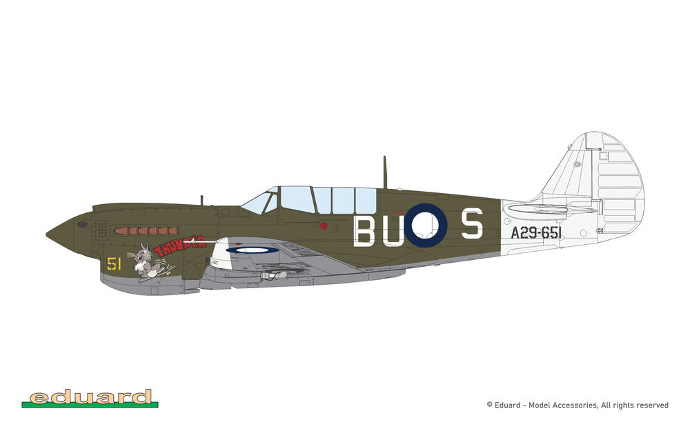 Eduard 1/48 P-40N Warhawk (82242) — New — image 17 of 19
