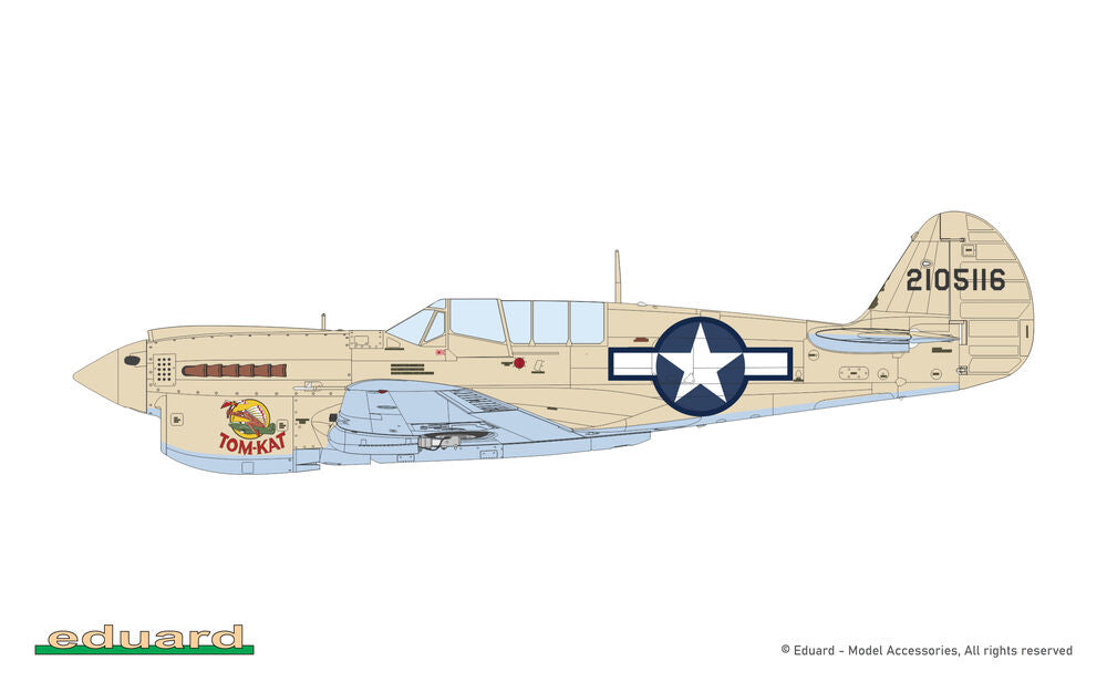 Eduard 1/48 P-40N Warhawk (82242) — New — image 13 of 19