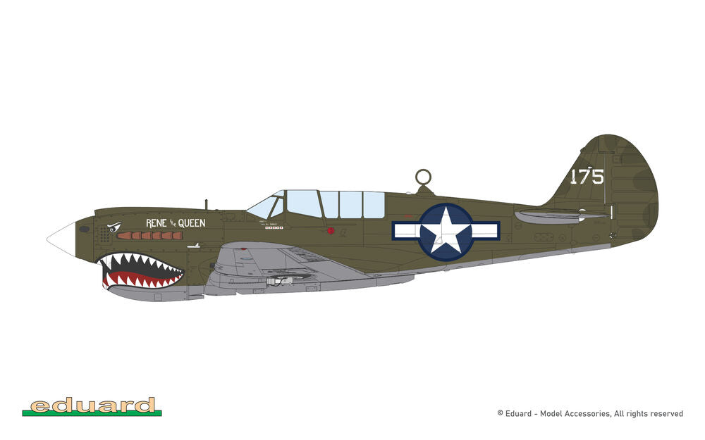 Eduard 1/48 P-40N Warhawk (82242) — New — image 14 of 19