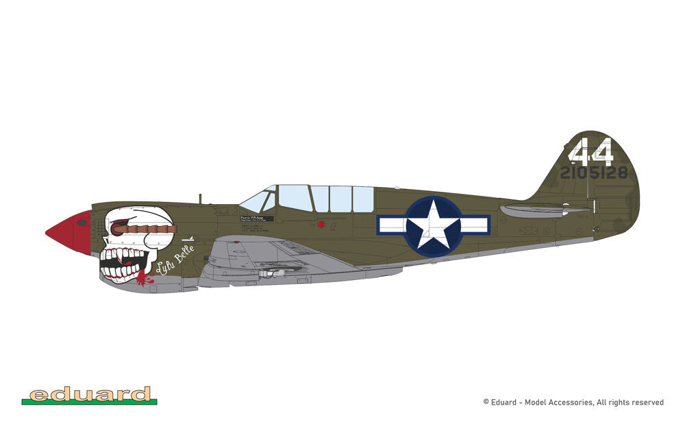 Eduard 1/48 P-40N Warhawk (82242) — New — image 12 of 19