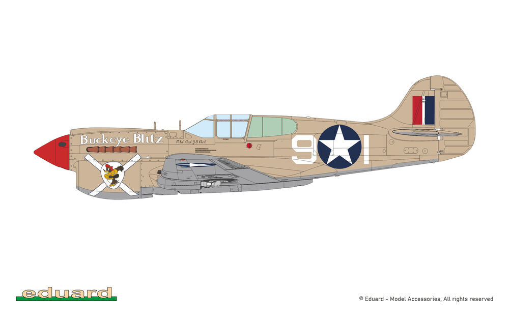 Eduard 1/48 P-40K Warhawk Short Tail ProfiPACK (82243) — New — 1/48 Scale, Aircraft, P-40 Warhawk — image 13 of 17