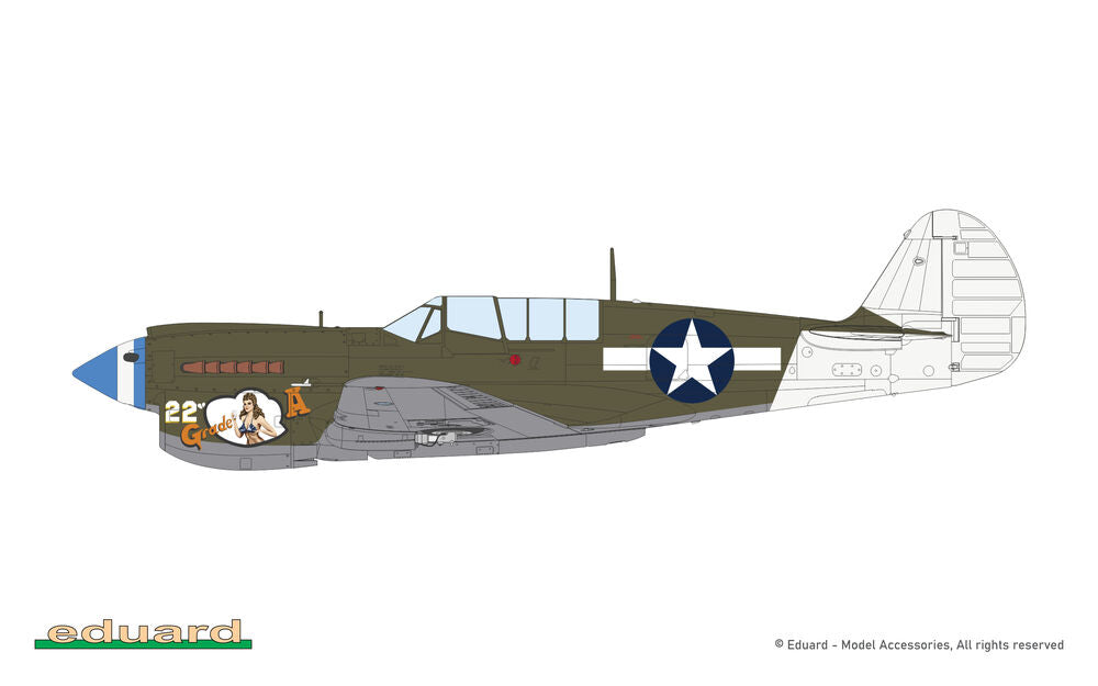 Eduard 1/48 P-40N Warhawk (82242) — New — image 15 of 19